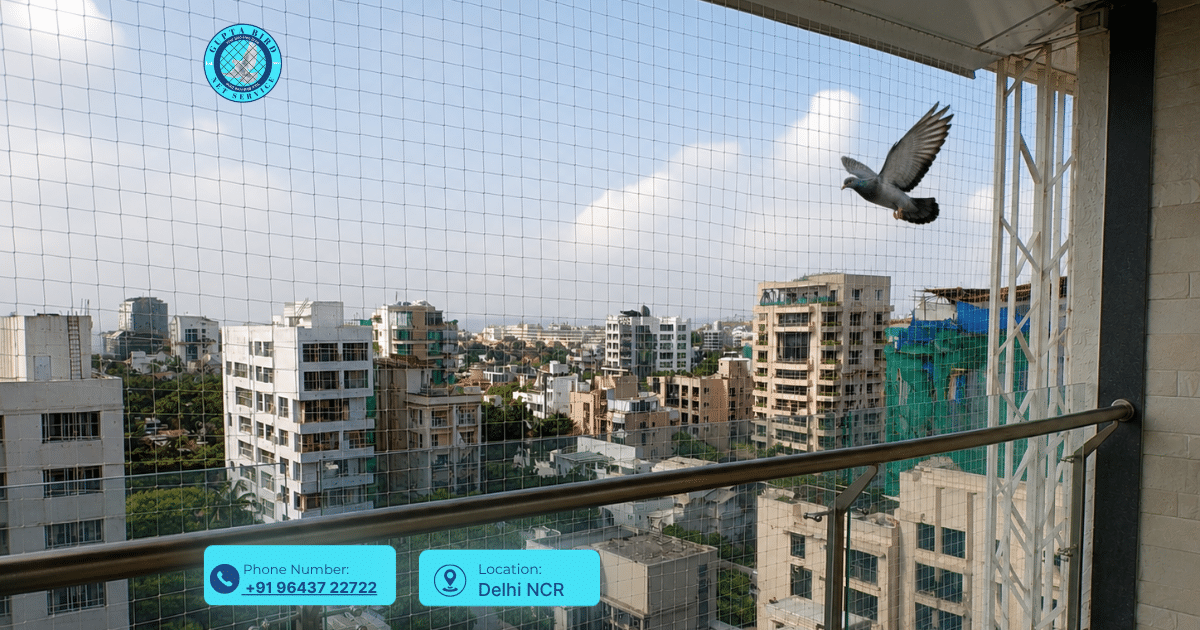 Gupta bird net service