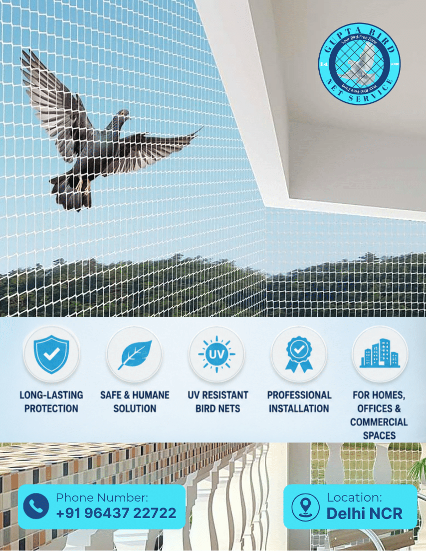 Bird Net Installation Cost in Delhi (2026 Guide)